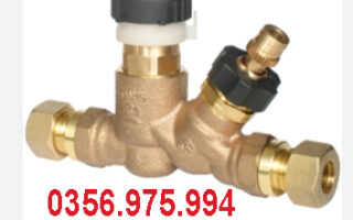 Van Cân Bằng Nhiệt Thermal Circulation Valves 4