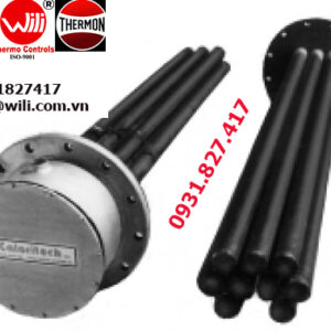 1. Máy sưởi vít CXI20256-01, Screwplug Heaters CXI20256-01 Screwplug Heaters CXI20256-01 FLANGED HEATER (CXC,CXI)