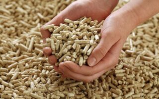 Wood pellets Suppliers - Directly from Asia