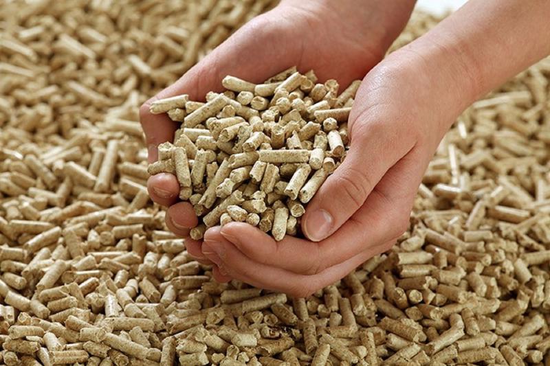 Wood pellets Suppliers - Directly from Asia