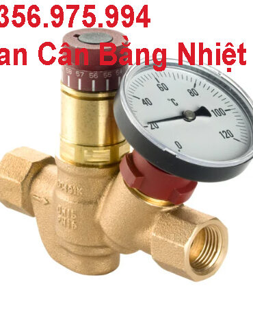 Van Cân Bằng Nhiệt Thermal Circulation Valves 5